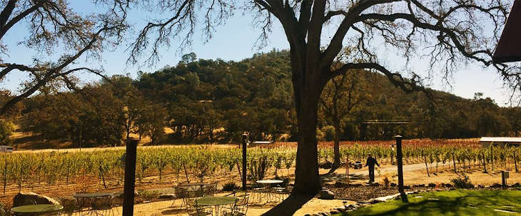 Jordan Oaks Vineyards